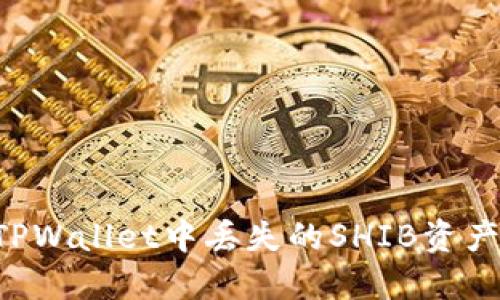 如何找回TPWallet中丢失的SHIB资产：详细指南